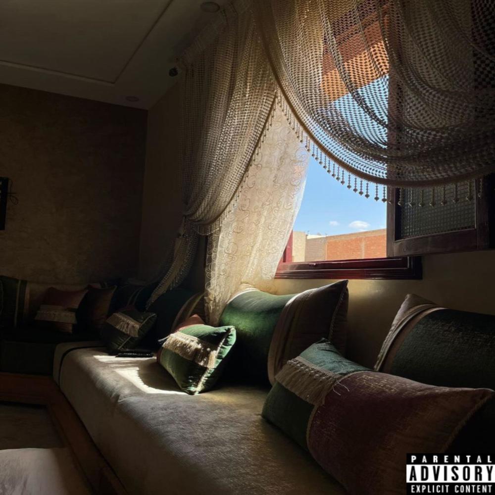 Suede (Explicit)