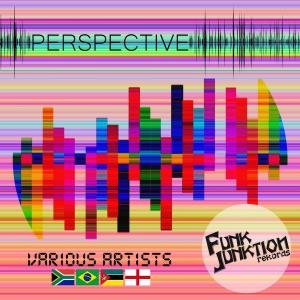 Various的专辑Perspective