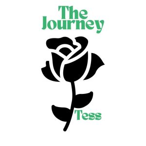 Album The Journey from Vail