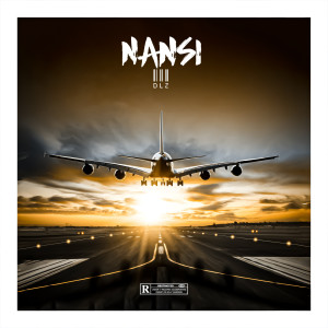 Album DLZ (Explicit) from Nansi