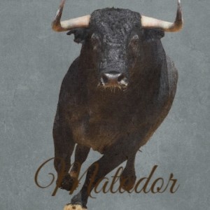 Listen to Feliciano Ta Cansa song with lyrics from Ñico Saquito