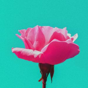 Dengarkan lagu 스물다섯 번째 봄 nyanyian HnS dengan lirik