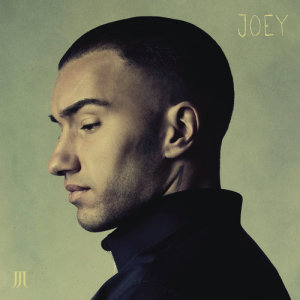 收聽Joey Moe的Du Skylder Mig Et Hjerte歌詞歌曲