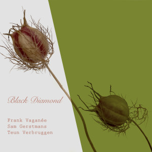 Album Black Diamond from 