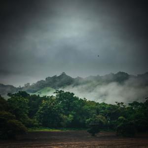 Listen to Pleasant Sounds of Rain and Tropical Thunderstorm for Relaxation and Spa song with lyrics from Weather Factory