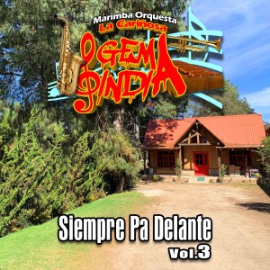 收聽Marimba Orquesta La Cariñosa Gema India的La Mucura歌詞歌曲