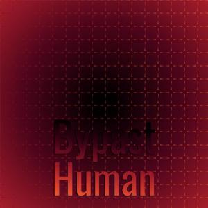 Album Bypast Human from Various