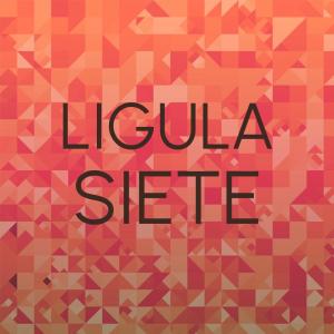 Listen to Danube Doce song with lyrics from Jrad Elen