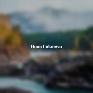 Album Hmm Unknown from Various
