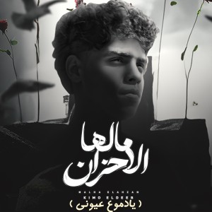 Album مالها الاحزان (يا دموع عيوني) from 