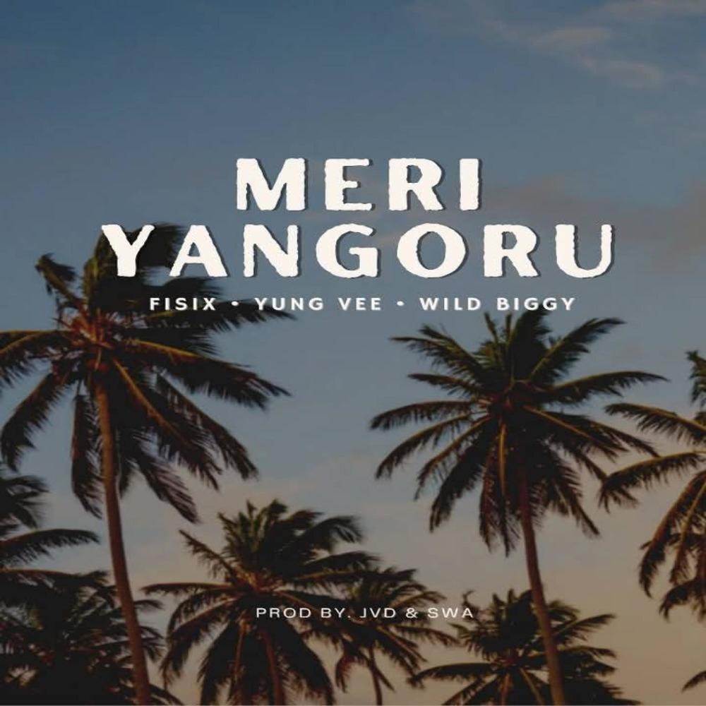 Meri Yanguru (feat. Wild-Biggy & Yung-Vee)