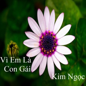 Listen to Ghét Anh 2 song with lyrics from Kim Ngọc