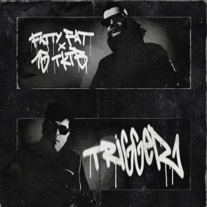 Album Trigger (Explicit) from Fatty Fat
