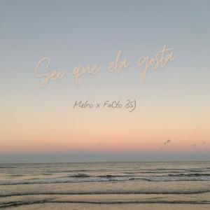 收聽Melro的Sei que ela gosta (feat. FaCto BSJ)歌詞歌曲