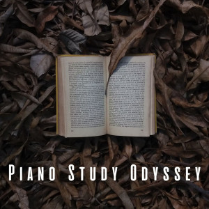 อัลบัม Piano Study Odyssey: Harmony of Learning ศิลปิน Piano for Studying