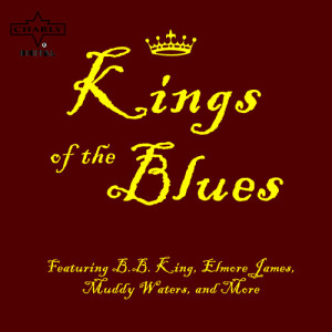 ดาวน์โหลดและฟังเพลง The Sky Is Crying พร้อมเนื้อเพลงจาก Elmore James