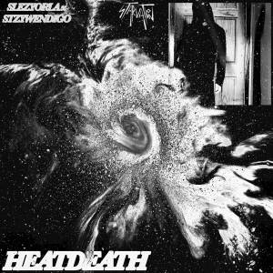 STZYWENDIGO的專輯HEAT DEATH