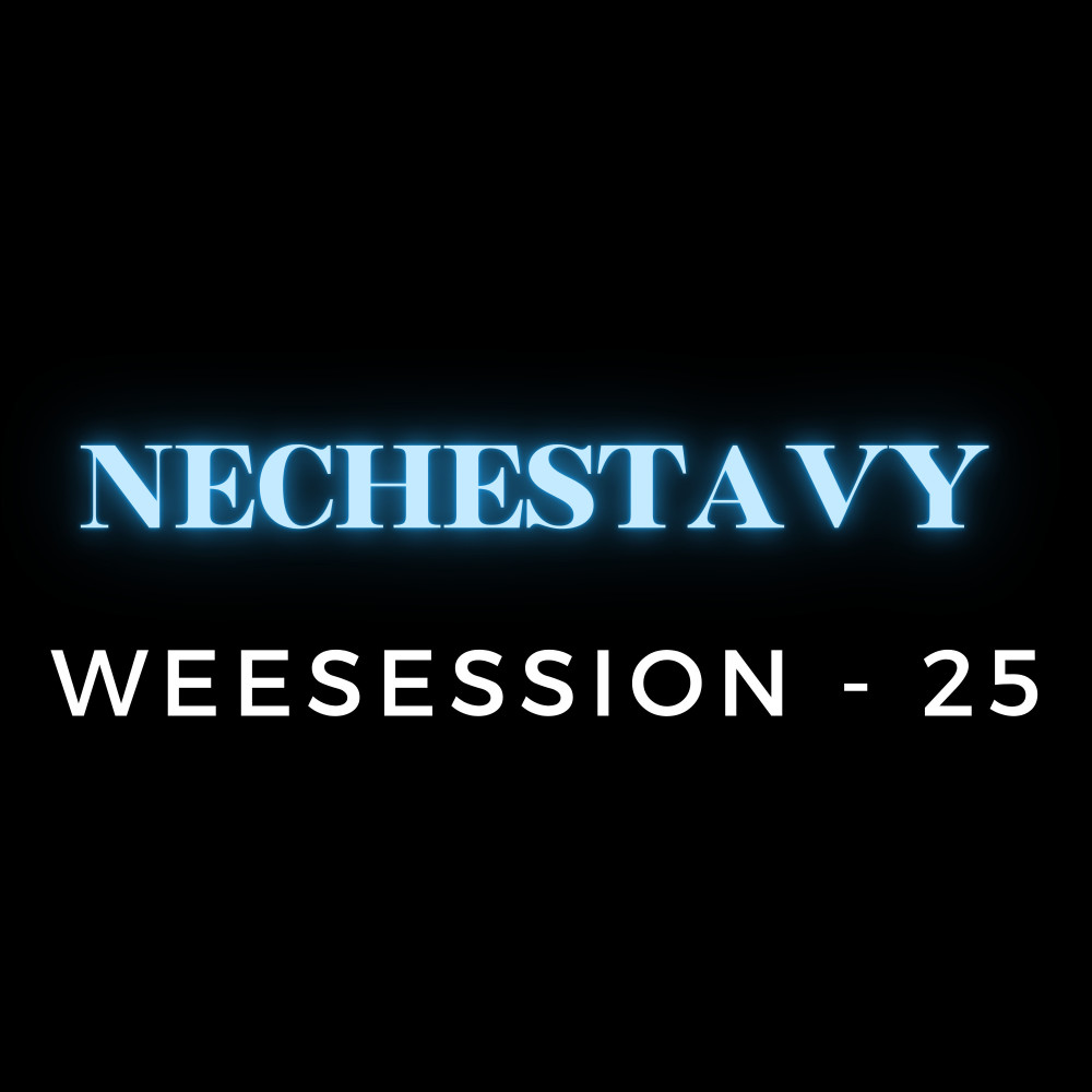 Nechestavy Weesession - 25