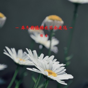 收聽謝古的到底發生過甚麼事 (Dj版)歌詞歌曲