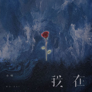 小咪的专辑我在