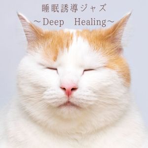 Mackey的專輯Sleep Induction Jazz Deep Healing