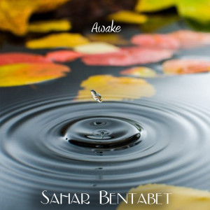 Album Awake from Didjaman