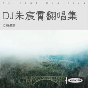 Album 姑娘在远方 (DJ朱宸霄 remix) from DJ朱宸霄