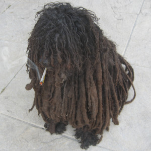 收聽Simcoe Street Mob的Hamburger歌詞歌曲