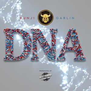 Listen to DNA song with lyrics from Bunji Garlin