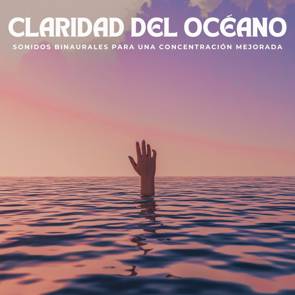Flujo De Concentración Tranquila