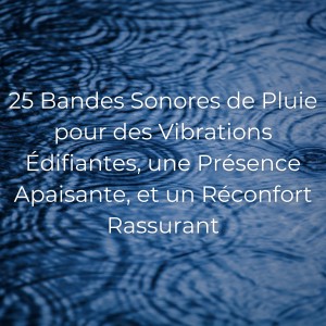 Sons De Pluie的专辑25 Bandes Sonores de Pluie pour des Vibrations Édifiantes, une Présence Apaisante, et un Réconfort Rassurant