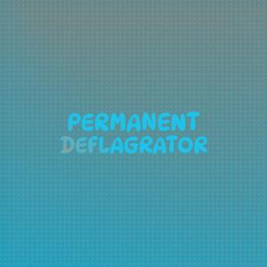 Various Artists的專輯Permanent Deflagrator