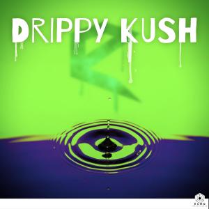 收听Echo的Drippy Kush歌词歌曲