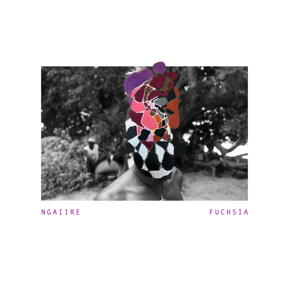 Fuchsia