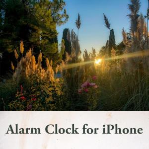อัลบัม Alarm Clock for iPhone ศิลปิน Christian Ravaglioli