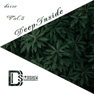 Listen to For the Love (Maxim Andreev Remix) song with lyrics from Desib-L