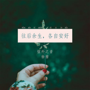 Listen to 往后余生，各自安好 song with lyrics from 弦外之音