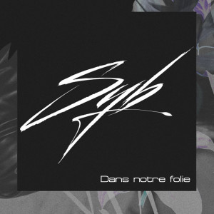 Album Dans notre folie from Syb