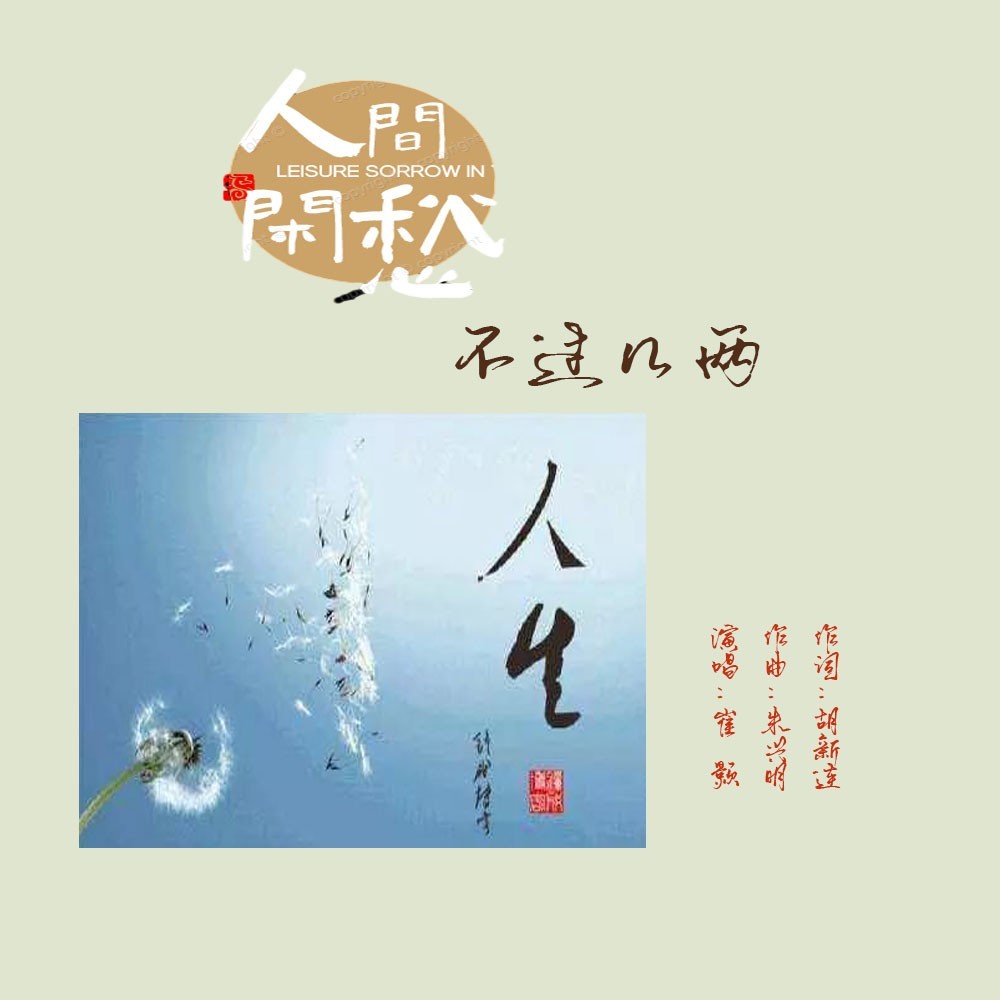 人间闲愁不过几两（DJ版） (伴奏)