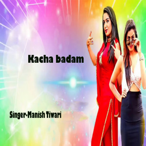Listen to Kacha Badam song with lyrics from Manish Tiwari