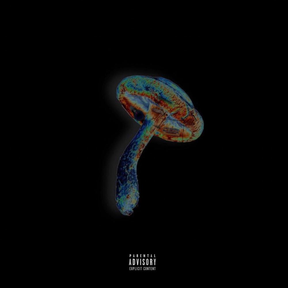 MILEAGE (feat. Lone Wolf) (Explicit)
