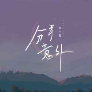 Listen to 分手意外 song with lyrics from 袁小葳