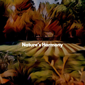 Smooth Bossa Nova的專輯Nature's Harmony