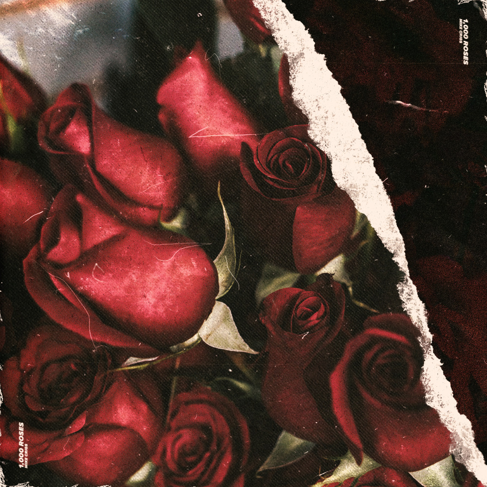 1,000 Roses