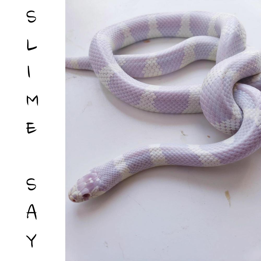 SLIME SAY (Explicit)