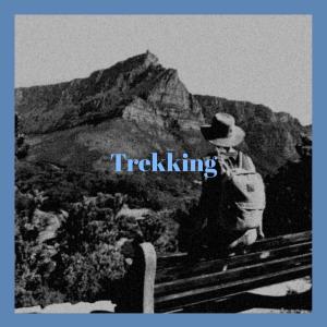 Various的专辑Trekking