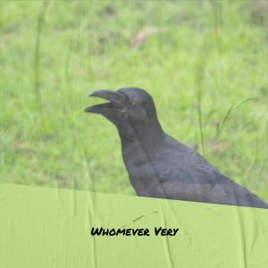 Listen to Redeem Other song with lyrics from Cerry Jian