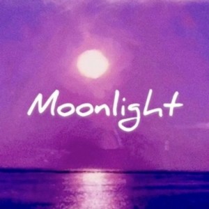 Album Moonlight oleh Sein