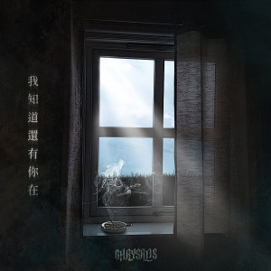 Album 我知道还有你在 from 蛹乐团