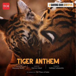 收聽Shantanu Moitra的‘Tiger Anthem’ by The Times Of India歌詞歌曲
